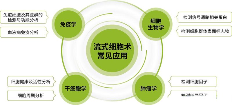 生物科技公司的六大误区：避免踩坑
