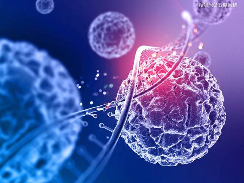 生物技术研发：开启生命科学的新篇章